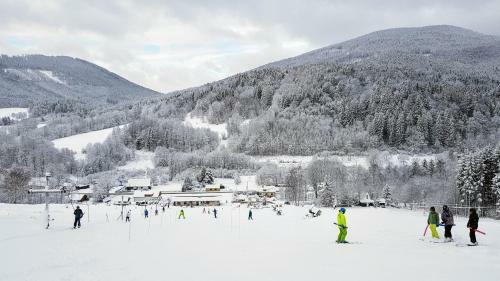 Apartm�ny Ski Areal Kare?