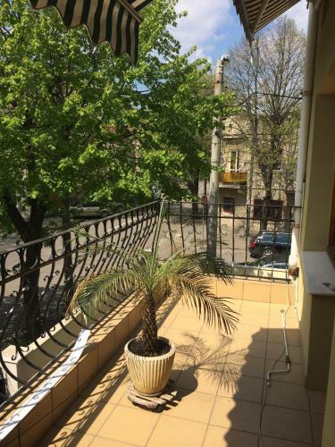 Villa Vila Ambiance