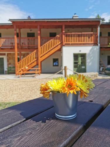 Apartm�ny Slunce