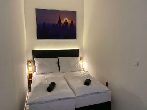 Apartm�ny Hom�r Plze?