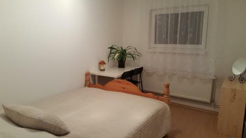 Hostal Penzion Sofi