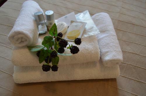 Hotel Ar�na