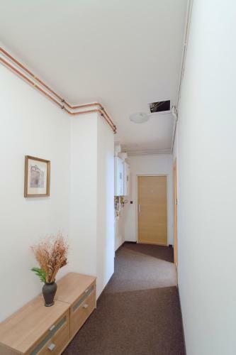 Apartamento 19 Nek�zanka