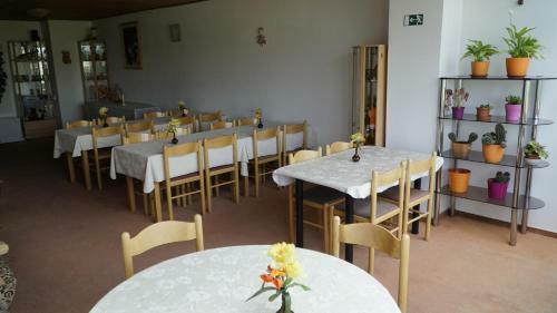Hostal Pension Fox