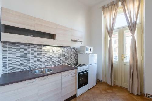 Residence Tesnov Apartment