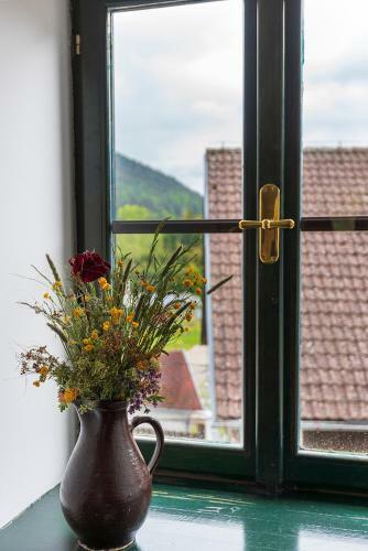 Hostal Penzion Rej?tejn