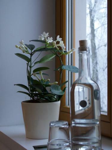 Hostal Rekovice