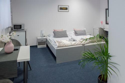 Classic Apartm�ny T?inec
