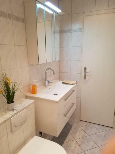 Apartamento Ferienwohnung Kastaniennest