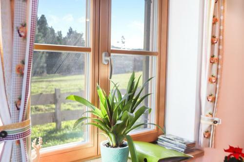 Apartamento Ferienwohnung Bergblick