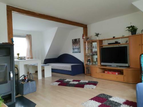 Apartamento Fewo Harzfire Mit Kamin