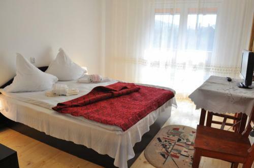 Hostal Pensiunea Maria