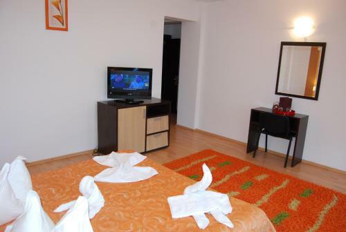 Hotel Brancoveanu