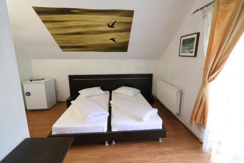 Hostal Pensiunea Cartisoara