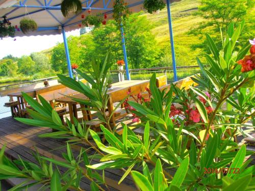 Hostal Pensiune Denisa