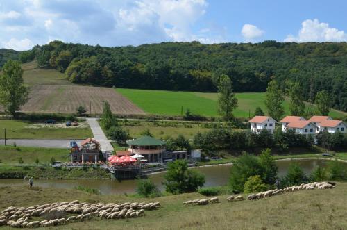 Hostal Pensiune Denisa