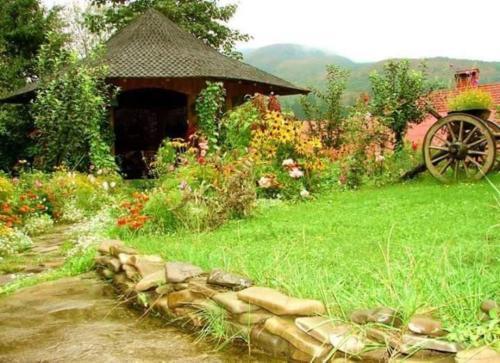 Hostal Pension Casa Aurora