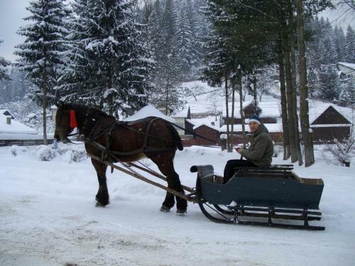 Hostal Pension Lucia Bucovina