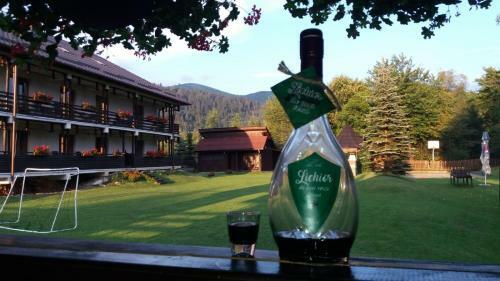 Hostal Pensiunea Irina