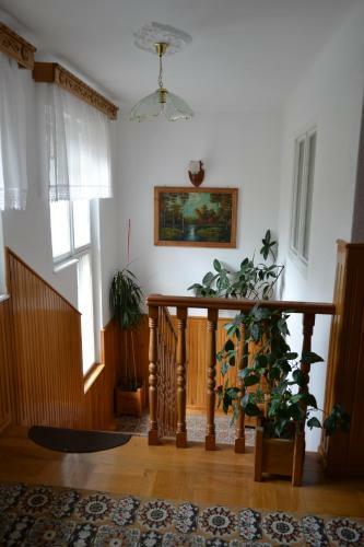 Hostal Pensiunea Muntean