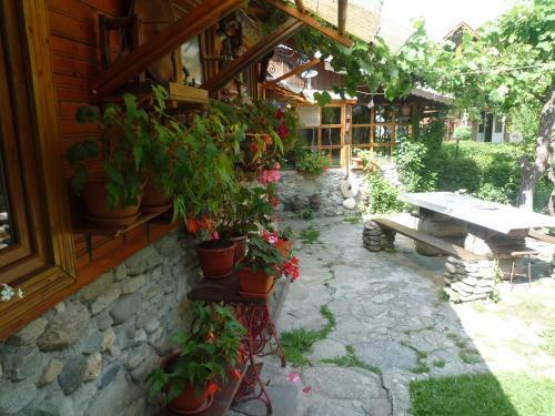 Hostal Pensiunea Mioritica
