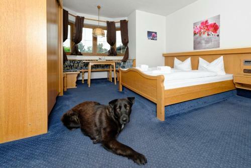 Hotel G�stehaus Unt' Am See