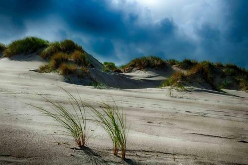 Insellandhotel Michaelsen