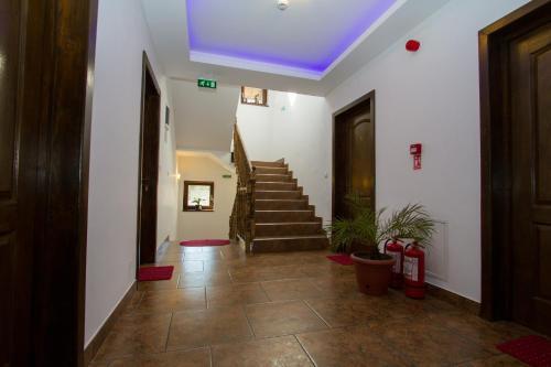 Hostal Pensiunea Royal Garden