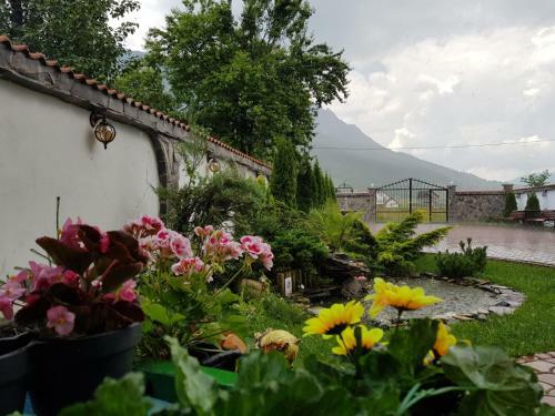 Hostal Pensiunea Casa Zarnesteana