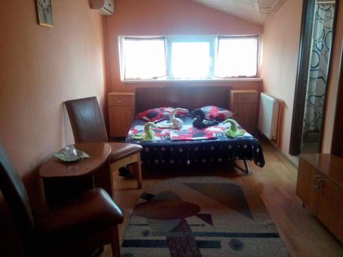 Hostal Pensiunea Nicol Tulcea