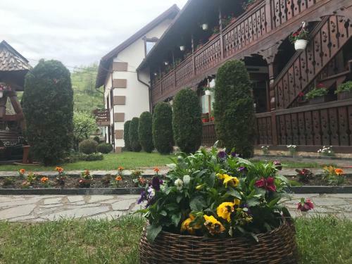 Hostal Pensiunea Cretuca