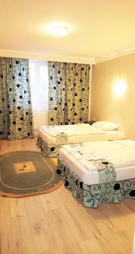Hostal Vila Elisabeta