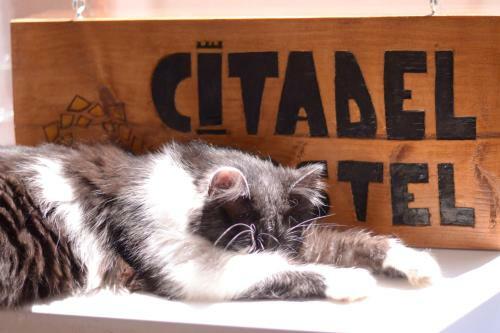 Citadel Hostel