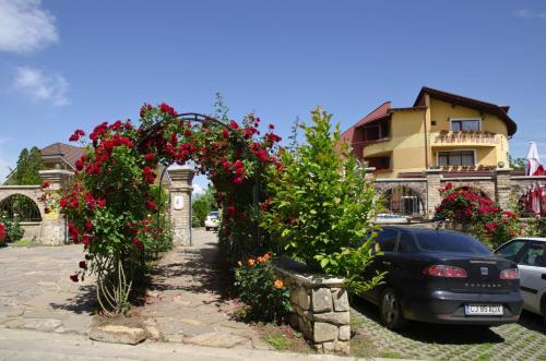 Hostal Vila Steaua Nordului