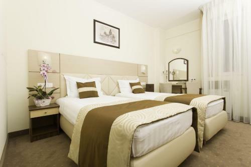 Hotel Coroana De Aur