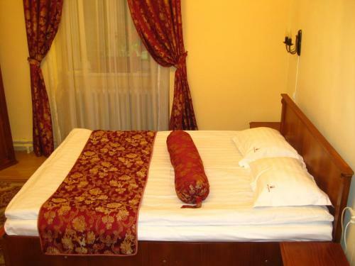 Hotel Transilvania