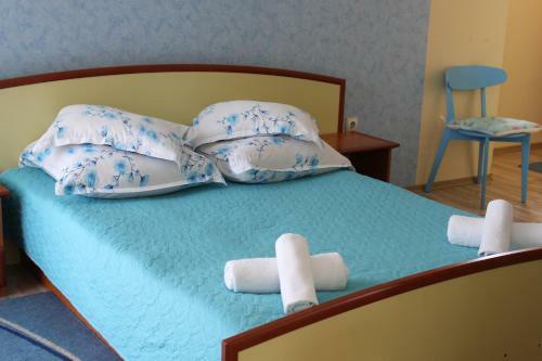Bed & Breakfast Vila Meteor