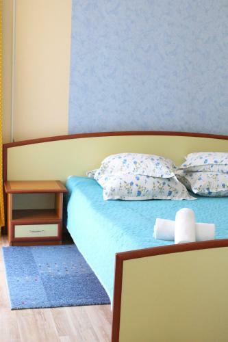 Bed & Breakfast Vila Meteor