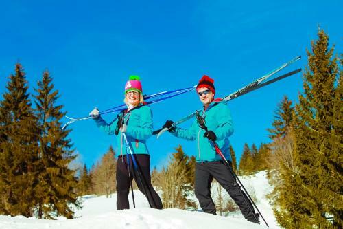 Black Forest Apartements By Hotel Gr�ner Baum Feldberg