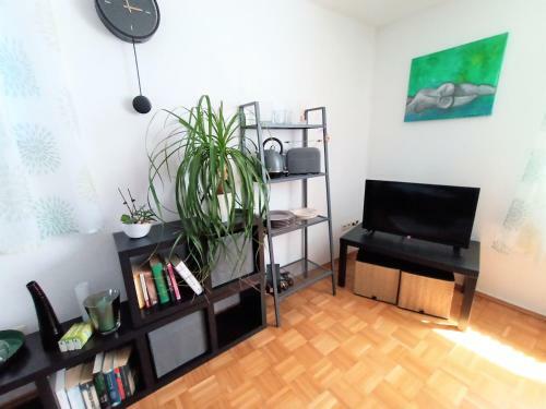 Bodensee Apartment Ailingen Onkel Fritz