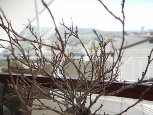 Apartamento Ferienwohnung Haida