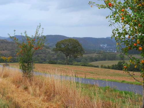 Holiday Home Waldferienpark Gerolstein-1