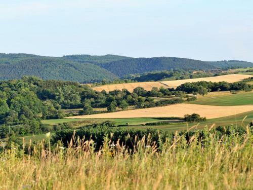 Holiday Home Waldferienpark Gerolstein-2