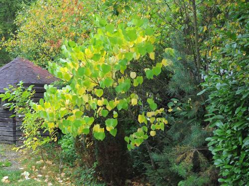 Holiday Home Waldferienpark Gerolstein-2