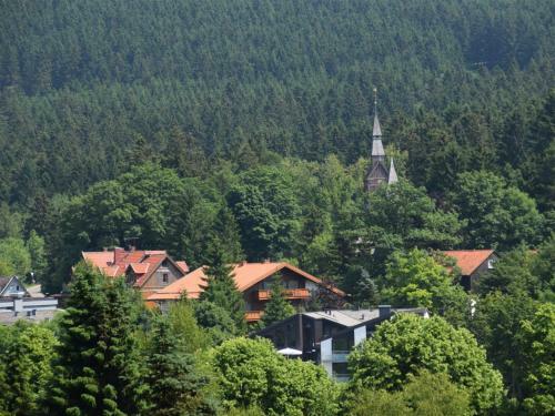 Apartamento Ferienwohnung Harzblick