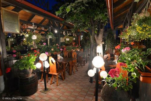 Hostal Crama Haiducilor