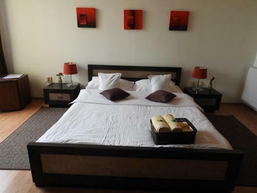 Hostal Pensiunea Caramell