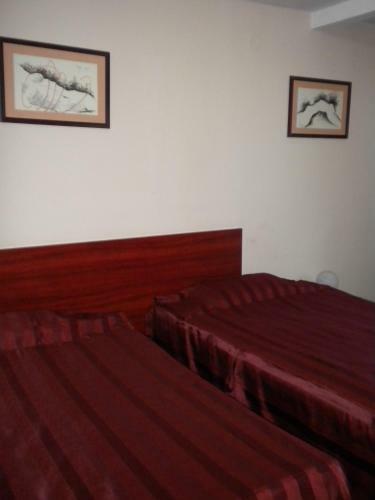 Hotel Ary
