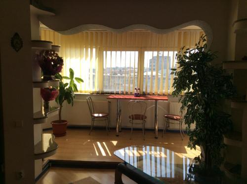 Relax Central Apartment