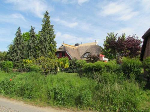 Apartamento Landhaus Uhlenhof 1